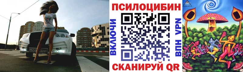 Галлюциногенные грибы Psilocybe  мориарти формула  Новая Ладога 